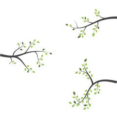 tree branch vector ilustration design template