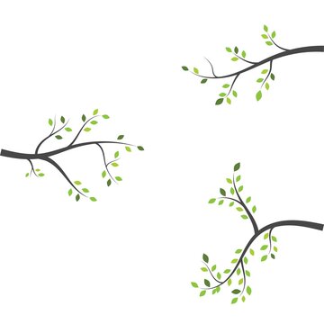 tree branch vector ilustration design template