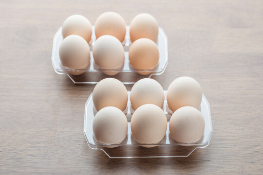 Plastic egg torrey consistent color fresh eggs