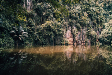 lake in the forest