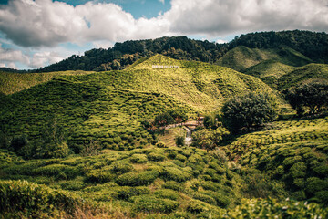 landscape with hills
