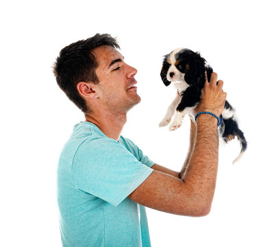 Puppy Cavalier King Charles And Man