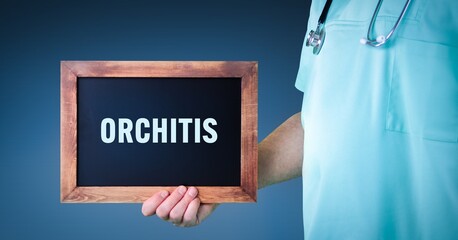 Orchitis (Hodenentzündung). Arzt zeigt Schild/Tafel mit Holz Rahmen. Hintergrund blau