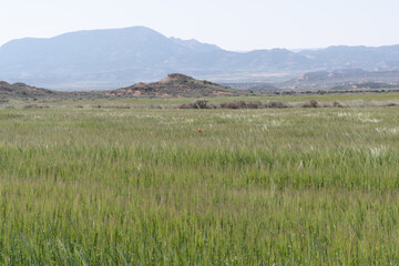 Obraz premium paisaje desierto