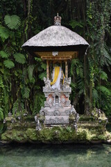 Shrine in Reflecting Pool Portrait, Pura Gunung Kawi, Bali