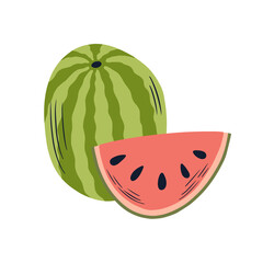 Watermelon vector illustration isolated on white background