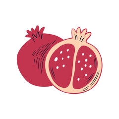 Pomegranate vector illustration isolated on white