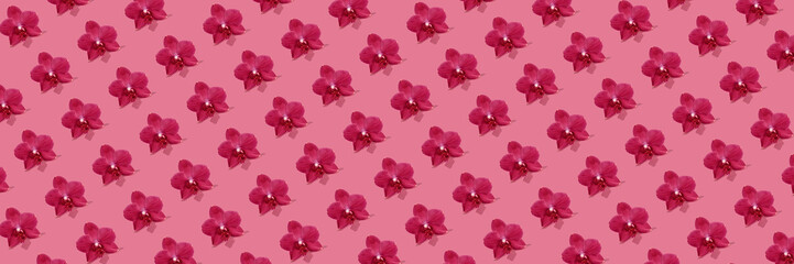 Creative seamless pattern of vivid pink orchid flowers on bright pink background. Trendy and...