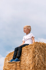 Naklejka na ściany i meble Blond boy in jeans and white T-shirt sits in the hay and looks into the distance. Portrait of child on haystack.