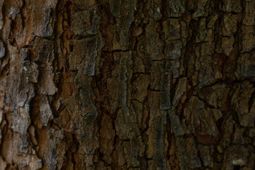 texture