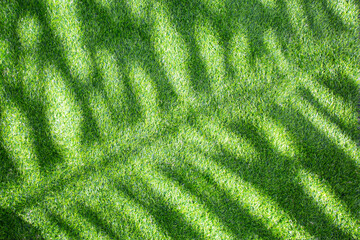 The green artificial grass had shadows of branches shining down on it.