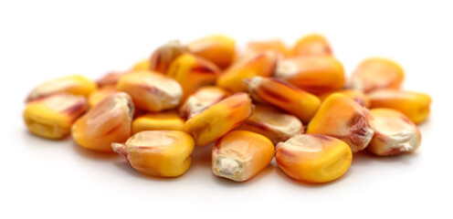 Yellow corn grains.