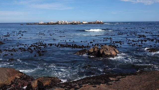 West coast of South Africa