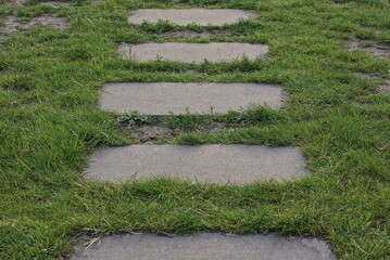 old gray concrete steps in the green grass outdoors in the park