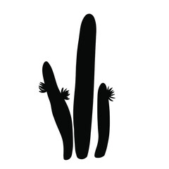 Succulent funny cartoon doodle cactus desert plant hand drawn in monochrome black and white vector illustration. Botanical giant trees with thorns, needles.