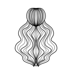 Digital illustration of romantic hairstyle, 