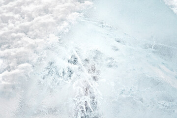 cold winter background with icy frozen texture
