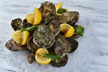 oyster dish on ice with lemon
