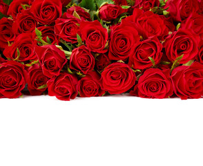 Bouquet of red roses isolated on white background