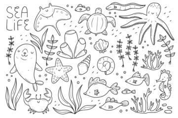 Fototapeta na wymiar Sea life doodle set. Marine animals in linear style. Collection of marine elements. Vector isolated illustration.