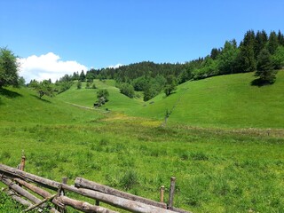 Mountain Zvijezda landscape with wooden fence, Bosnia and Herzegovina