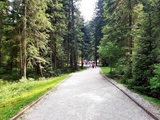 Walking trail in Bijambare, mountain Zvijezda, Bosnia and Herzegovina