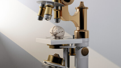 human brain under retro microscope close up