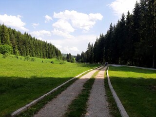 Mountain landscape in Bijambare, mountain Zvijezda, Bosnia and Herzegovina