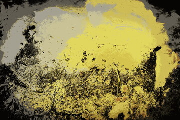 molecular photography