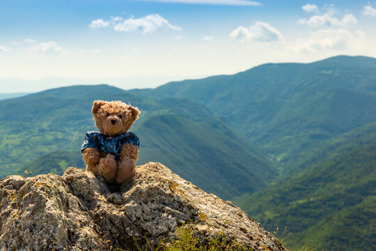 A teddy bear named Dranik sits on top of a mountain.