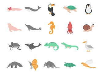 animal icon set design template vector illustration