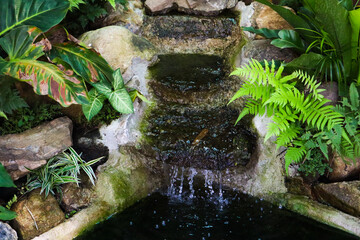 Beautiful fountain with tree in garden.