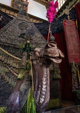 Mammal In Azm Palace In Damascus, Syria