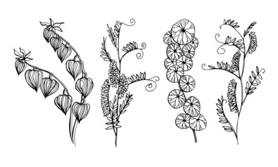 Set of branches of garden plants with flowers