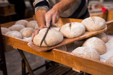 bread preparation. loaves of dough before baking