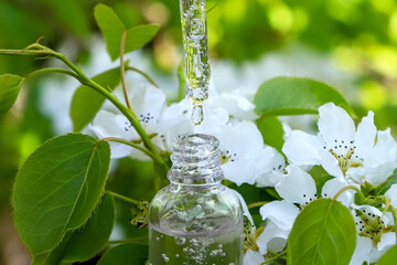 Skincare transparent glass bottle container and dropper with a drop of serum among the beautiful white flowers