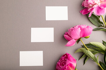White business card with pink peony flowers on gray pastel background. top view, copy space.
