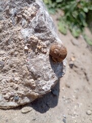 Perdu sur la roche