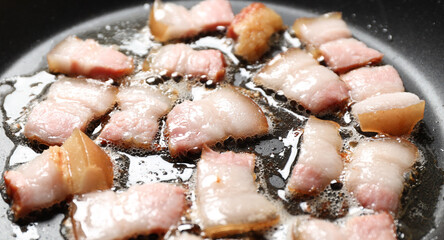 Food with cholesterol, fried lard in a pan. Fat bacon.