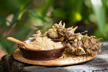 Kaempferia galanga rhizome and powder on nature background.