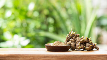 Kaempferia galanga rhizome and powder on nature background.