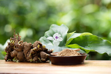 Kaempferia galanga rhizome and powder on nature background.