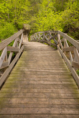 Fototapeta premium Footbridge Across Ramsey Creek