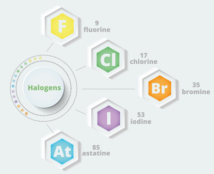 Halogens. 7A group of the periodic table. Vector illustration in neomorphism style. Chemical infographics. Poster. Fluorine, chlorine, bromine, iodine, astatine.