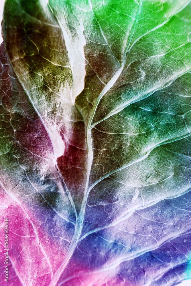 Poster beautiful abstraction leaf texture neon light. minimalism retro style concept. background pattern fo