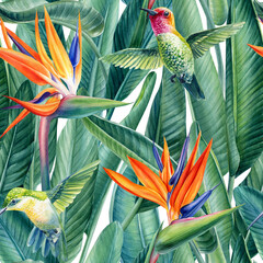 Watercolor seamless pattern palm eaves, hummingbird and strelizia flowers, Illustration of modern exotic jungle plants © Hanna