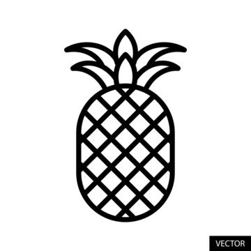 Pineapple vector icon in line style design for website design, app, UI, isolated on white background. Editable stroke. Vector illustration.