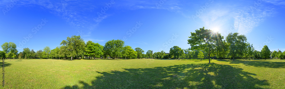 Wall mural alwin-mittasch city park ludwigshafen 360°