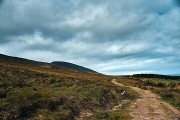 Dingle Way Ireland Trekking Wandern 
