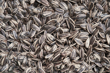 Beautiful sunflower seeds image